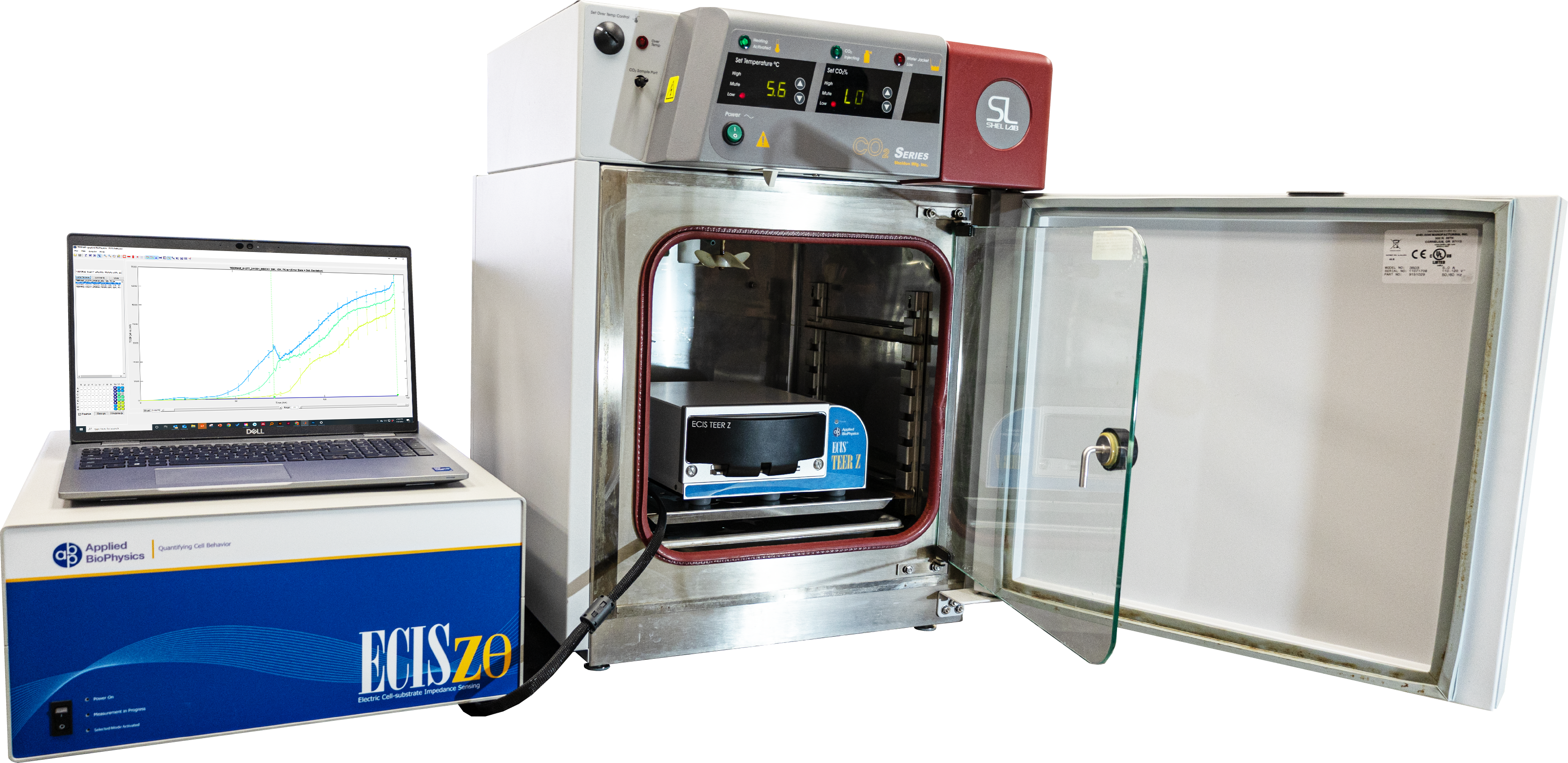 請(qǐng)?zhí)顚?xiě)標(biāo)題