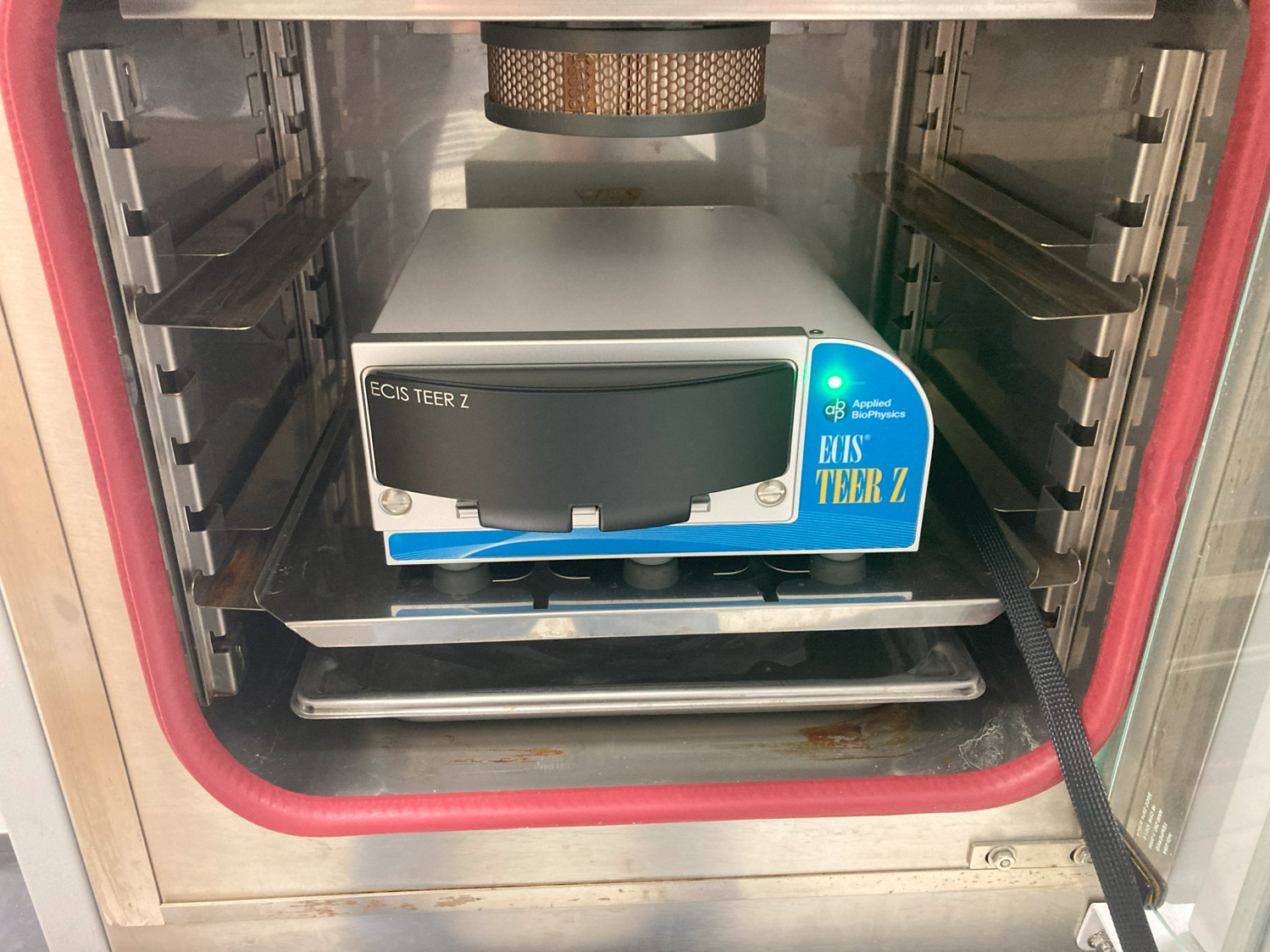 請(qǐng)?zhí)顚?xiě)標(biāo)題