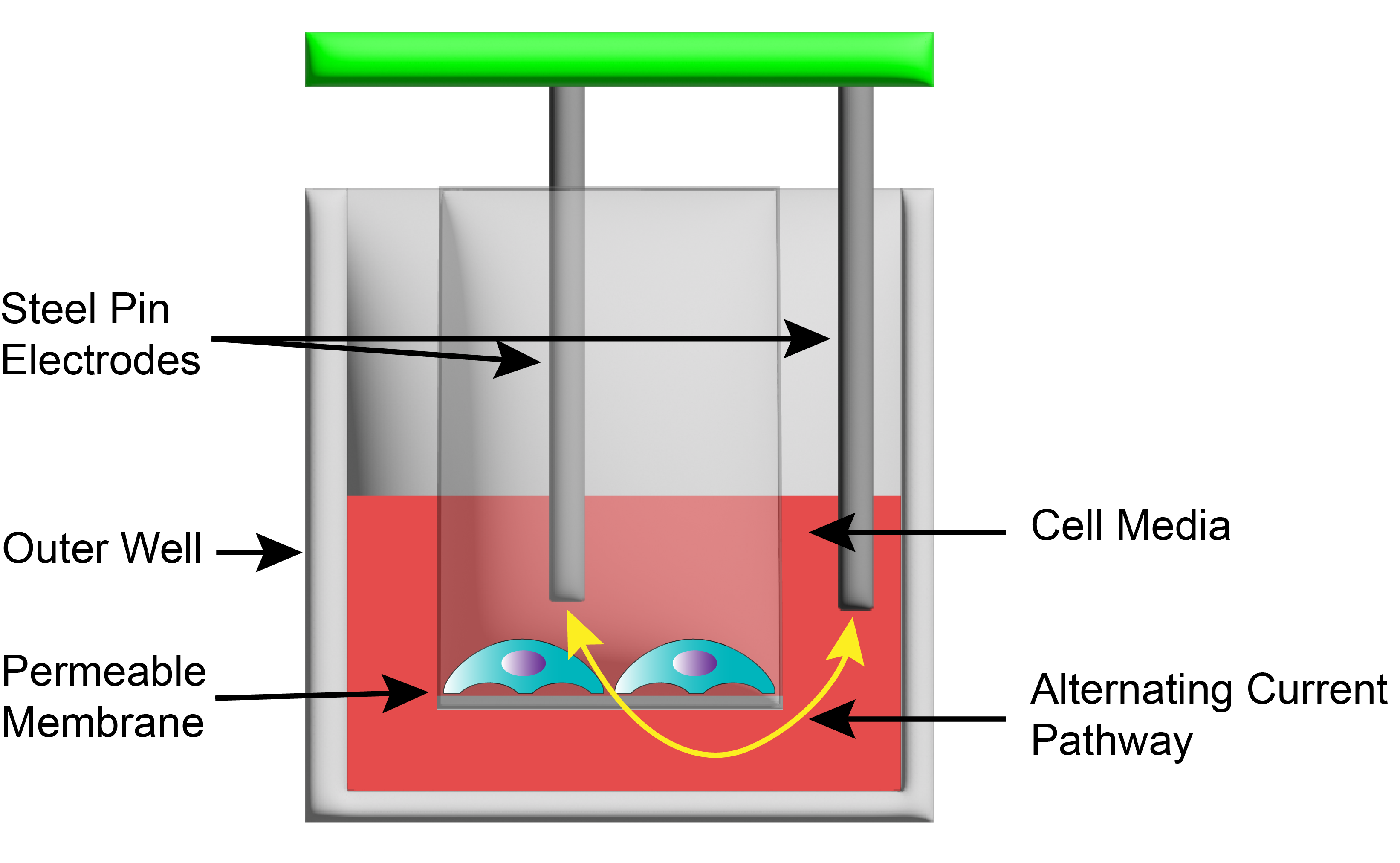 請(qǐng)?zhí)顚?xiě)標(biāo)題